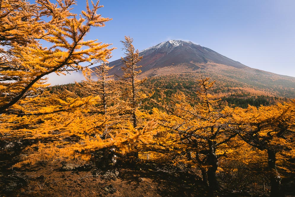 Fuji-san Besteigung, Fuji Japan, Reisefotografie von Steffen Walther Fotograf Jena