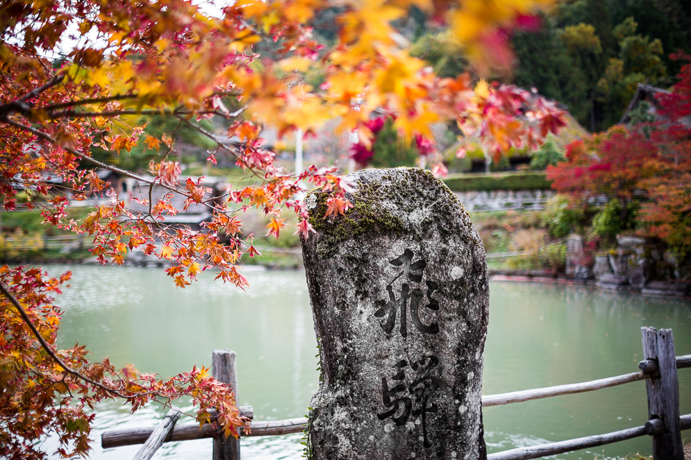 Momiji Japan im Herbst, Reisefotografie, takayama