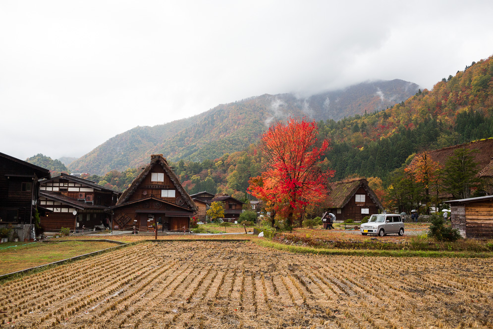 Momiji Japan im Herbst, Reisefotografie, shirakawago