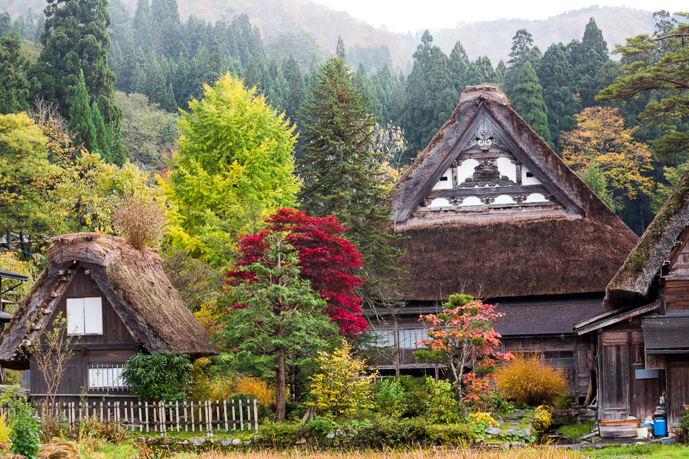 Momiji Japan im Herbst, Reisefotografie, shirakawago