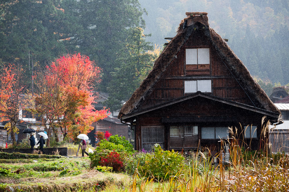 Momiji Japan im Herbst, Reisefotografie, shirakawago