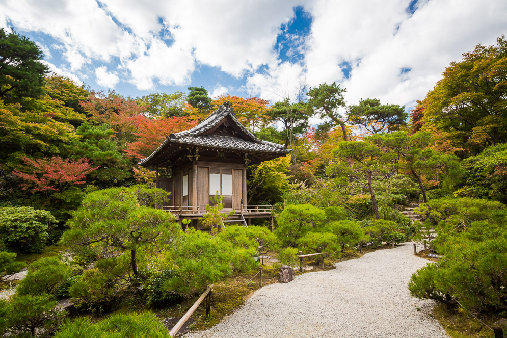 Momiji Japan im Herbst, Reisefotografie, kyoto