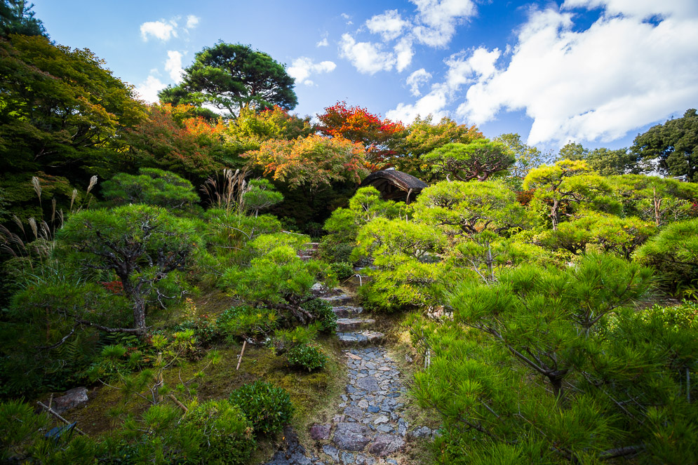 Momiji Japan im Herbst, Reisefotografie, kyoto