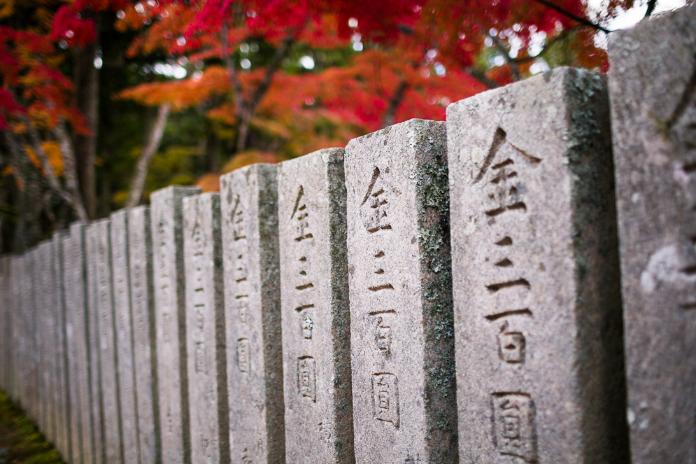 Momiji Japan im Herbst, Reisefotografie, koyasan