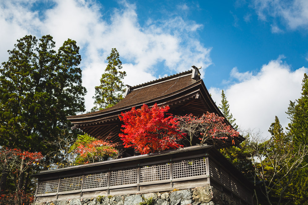 Momiji Japan im Herbst, Reisefotografie, koyasan