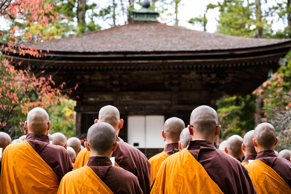 Momiji Japan im Herbst, Reisefotografie, koyasan