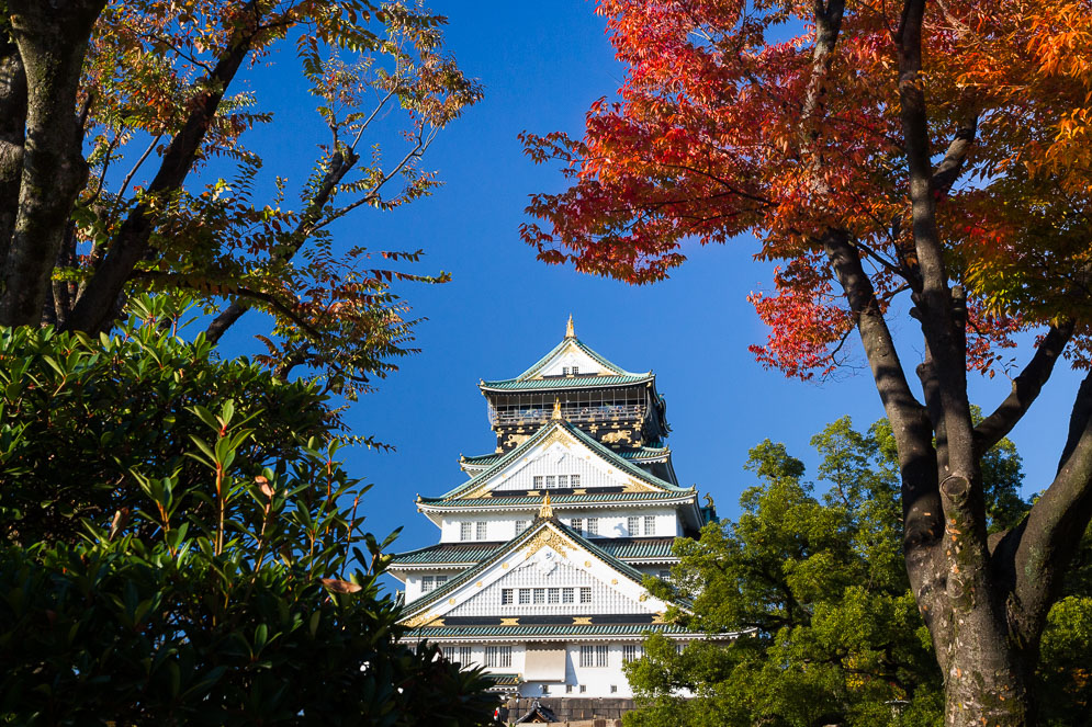 Momiji Japan im Herbst, Reisefotografie, osaka castle
